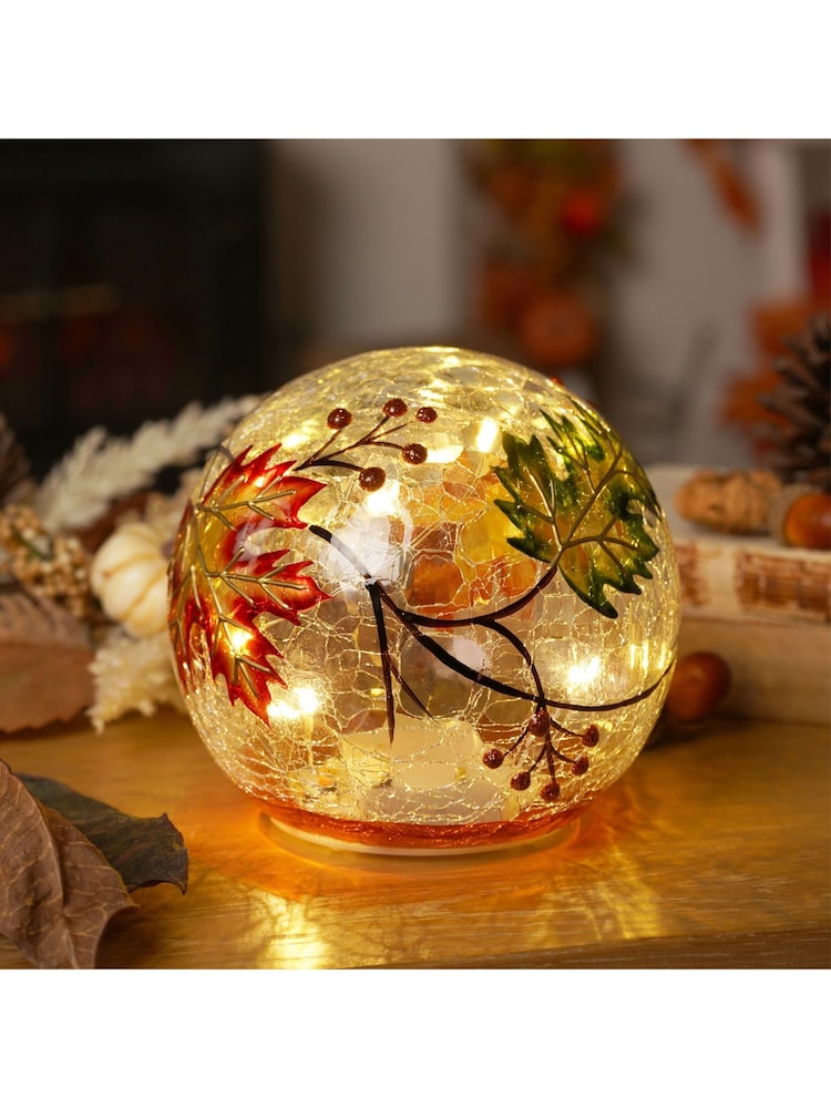 Country Living Clear Leaf LED Light Up Orb - Image 1 of 6