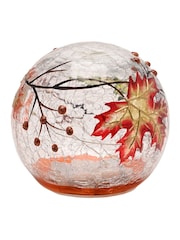 Country Living Clear Leaf LED Light Up Orb - Image 3 of 6