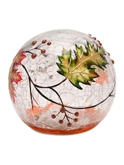 Country Living Clear Leaf LED Light Up Orb - Image 5 of 6
