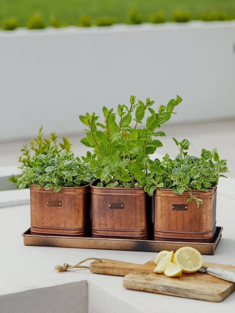 Ivyline Set of 3 Copper Garden Hampton Herb Planters With Tray - Image 1 of 4