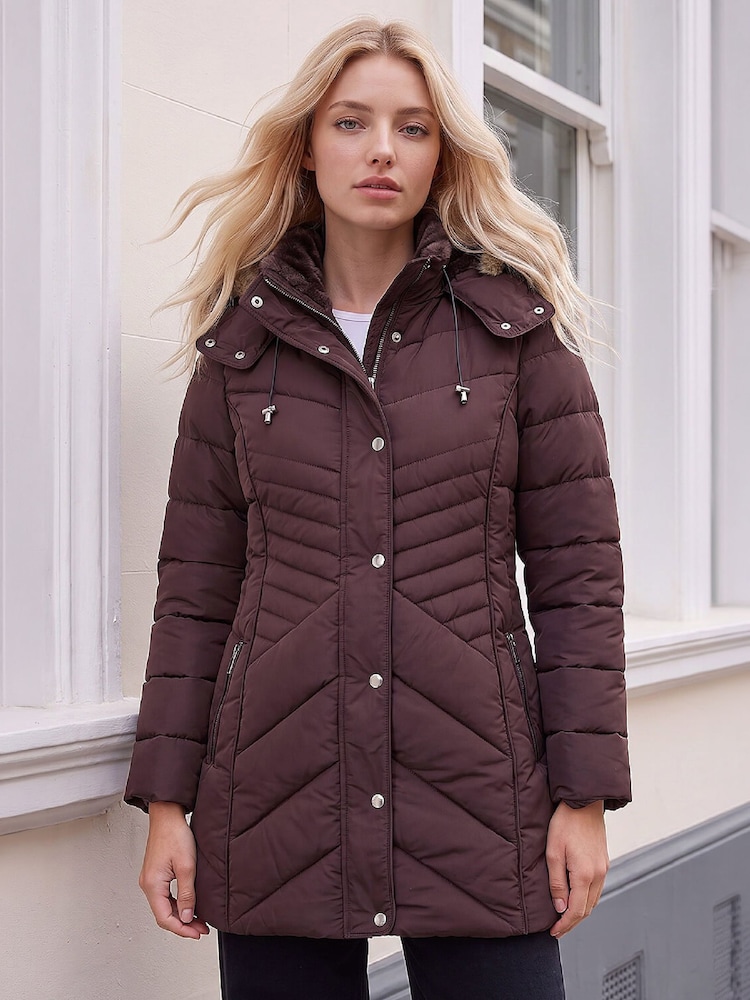 Roman Brown Petite Hooded Longline Quilted Coat - Image 1 of 4 Roman Brown Petite Hooded Longline Quilted Coat - Image 1 of 4