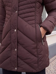 Roman Brown Petite Hooded Longline Quilted Coat - Image 4 of 4