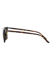 Polo Ralph Lauren Brown Sunglasses - Image 14 of 14