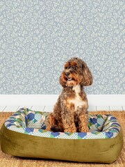 Laura Ashley Green Thistle Patchwork Lounger Dog Bed - Image 1 of 4
