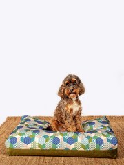 Laura Ashley Green Thistle Patchwork Duvet Dog Bed - Image 1 of 4