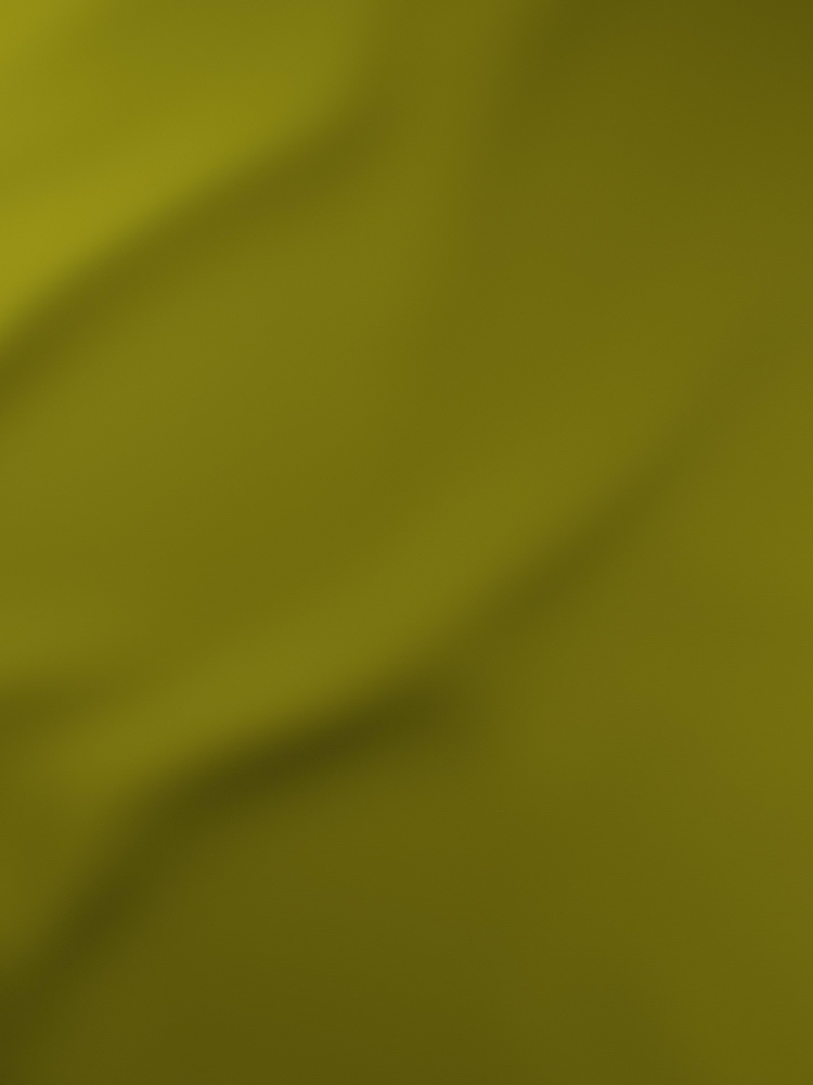 Asparagus Green Haig Made To Measure Blackout Roller Blind - Image 4 of 4