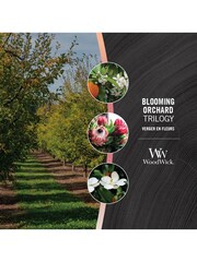 Woodwick Ellipse Scented Candle with Crackle Wick Blooming Orchard - Image 3 of 3