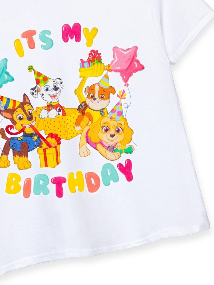 4th Birthday Girl Paw Patrol Birthday Shirt Buy Vanilla