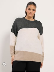 Yours Curve Animal Colourblock Knit Jumper - Image 1 of 6