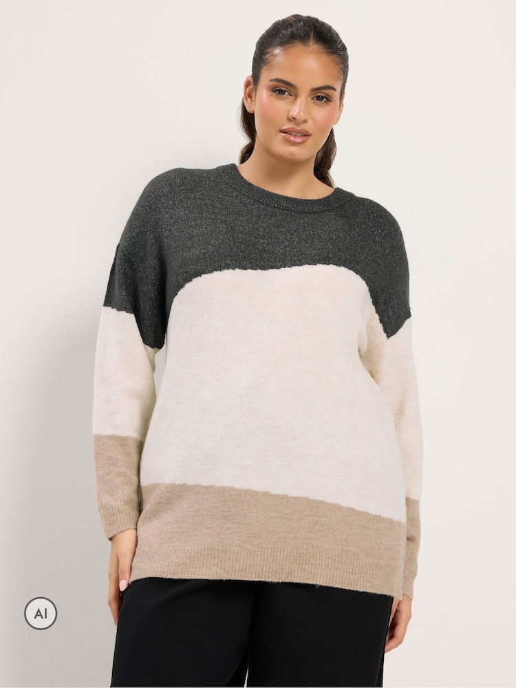 Yours Curve Animal Colourblock Knit Jumper - Image 1 of 6 Yours Curve Animal Colourblock Knit Jumper - Image 1 of 6