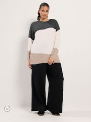 Yours Curve Animal Colourblock Knit Jumper - Image 2 of 6