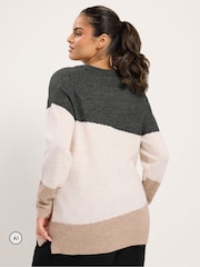 Yours Curve Animal Colourblock Knit Jumper - Image 3 of 6