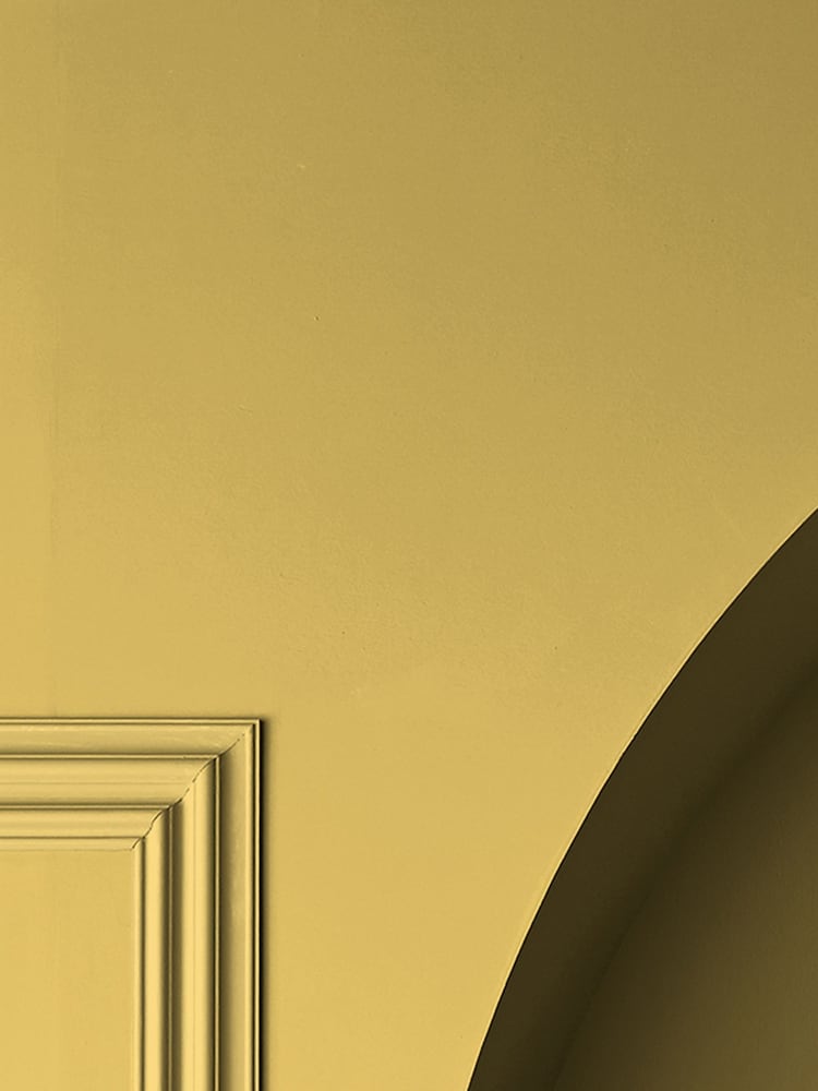 Graham & Brown Lilium Yellow Matt Emulsion Paint - Image 2 of 3