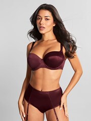 Panache Red Bordeaux Grace Suspender Briefs - Image 3 of 4