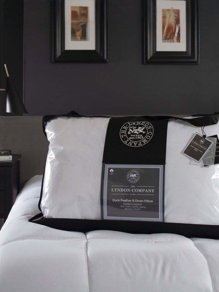 The Lyndon Company TLC Duck Feather & Down Pillow - Image 1 of 2 The Lyndon Company TLC Duck Feather & Down Pillow - Image 1 of 2