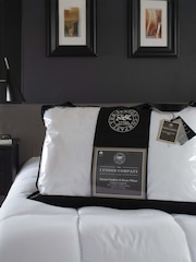 The Lyndon Company Goose Feather and Down Pillow - Image 1 of 1