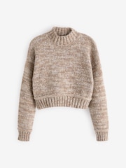 Neutral Brown Cropped High Neck Long Sleeve Jumper - Image 6 of 7