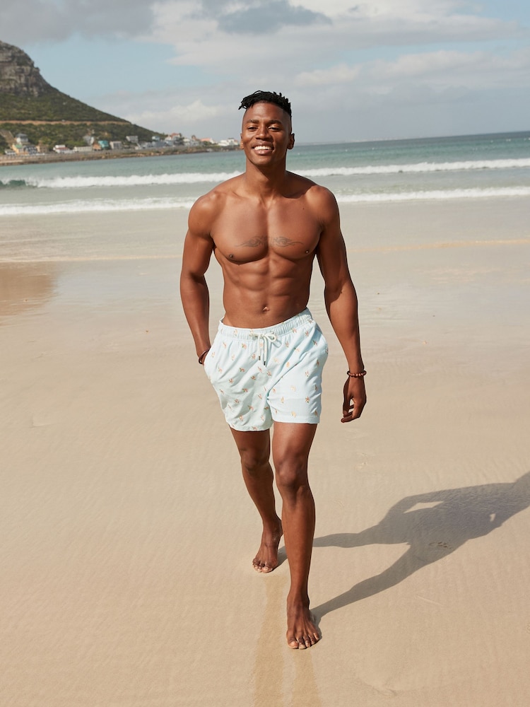 Orange Embroidery Blue Stripe Premium Swim Shorts - Image 2 of 12 Orange Embroidery Blue Stripe Premium Swim Shorts - Image 2 of 12