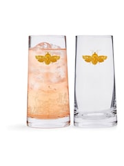 Spode Set of 2 Clear Creatures of Curiosity Hi Ball Glasses - Image 2 of 4