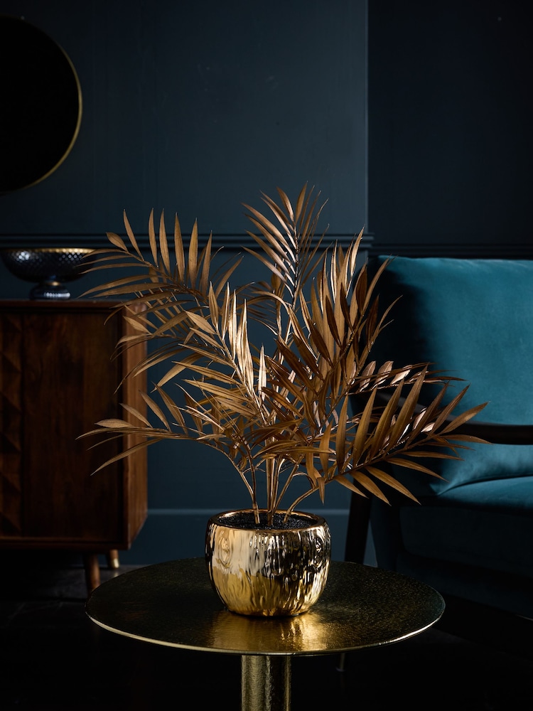 Planta de palmera Bold Chic - Imagen 1 de 4