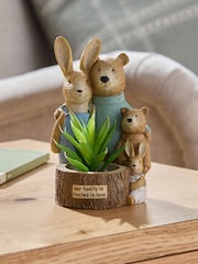 Green Bertie and Rosie Artificial Succulent - Image 1 of 5