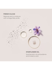 Laura Mercier Soft Touch Duo Souffle Hand Cream Duo (Worth £56) - Image 5 of 5