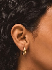 أقراط حلقية بتصميم ريشة مطليّة بالذهب عيار 14 قيراطًا من Accessorize - صورة 2 من 2