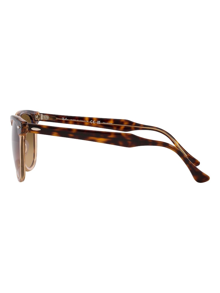 Ray-Ban Brown Eagle Eye Sunglasses - Image 13 of 13 Ray-Ban Brown Eagle Eye Sunglasses - Image 13 of 13