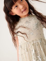 Mint Velvet Neutral Star Sequin Dress - Image 5 of 9