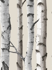 Fine Décor Natural Distinctive Birch Tree Sidewall Wallpaper - Image 2 of 2