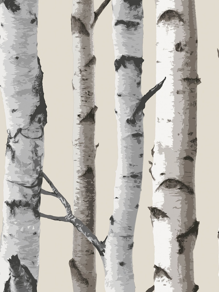 Fine Décor Natural Distinctive Birch Tree Sidewall Wallpaper - Image 2 of 2