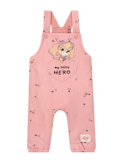 Character Pink PAW Patrol Skye Outfit Set - Image 8 of 11