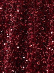 أحمر - Threadbare Sequin Slash Neck Dress with Bow Detail - صورة 5 من 5
