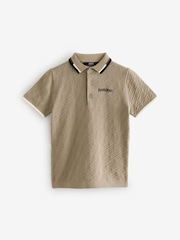 Tan Brown 100% Cotton Textured Knitted Polo Shirt (3-16yrs) - Image 5 of 8