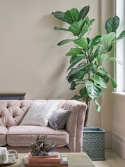 Laura Ashley Soft Natural Matt Emulsion 2.5Lt Paint - Image 1 of 4