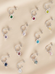 Sterling Silver Hexagon Birthstone Hoop Earrings - Image 1 of 15