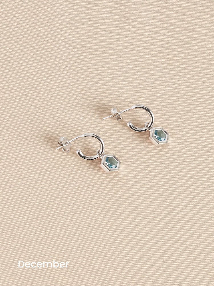 Sterling Silver Hexagon Birthstone Hoop Earrings - Image 15 of 15