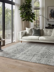 Asiatic Rugs Grey Nova Antique Rug - Image 1 of 5