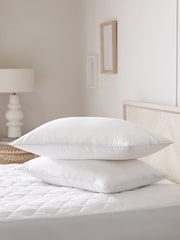 Set of 2 Sleep In Silk Firm 100% Cotton Pillows - Image 1 of 3