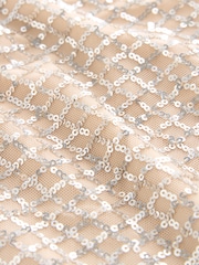 Cream Short Sleeve Sequin Dress - Image 7 of 7