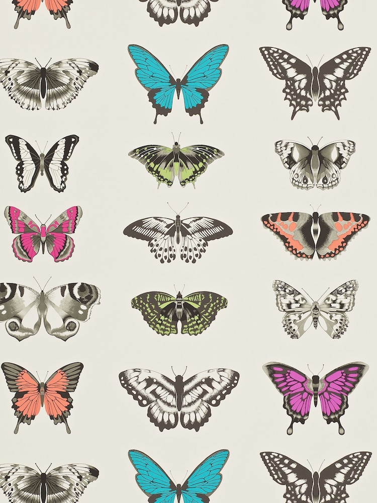 Harlequin Pink Papilio 10.05M Wallpaper - Image 1 of 1