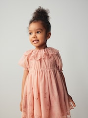 Pink Embroidered Mesh Party Dress (3mths-8yrs) - Image 1 of 4