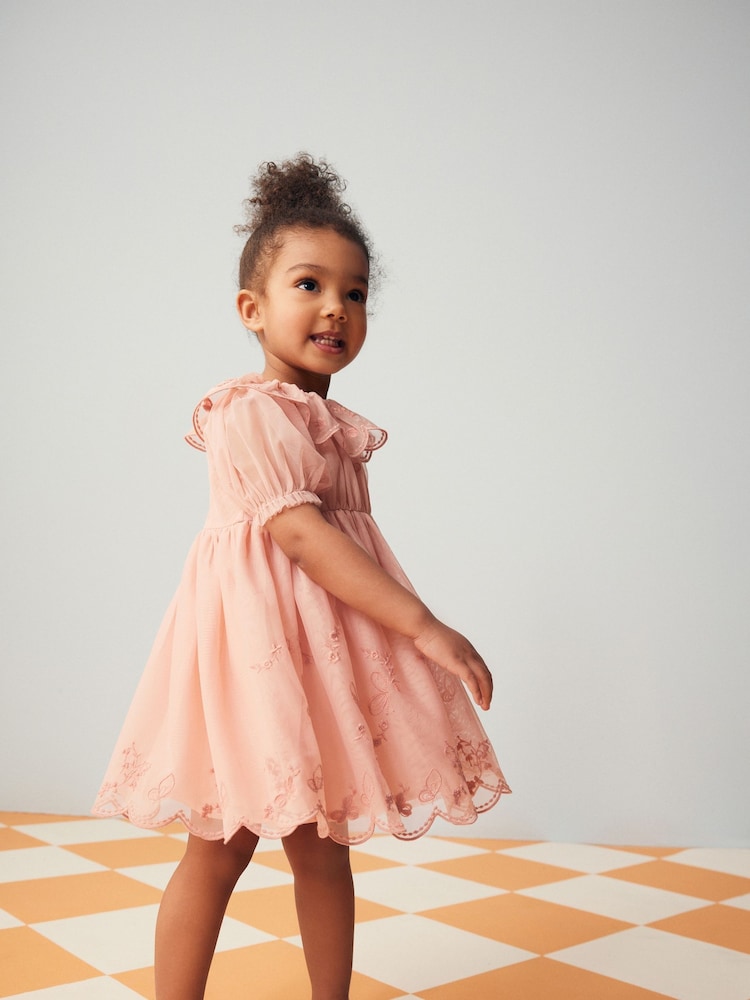 Pink Embroidered Mesh Party Dress (3mths-8yrs) - Image 2 of 4