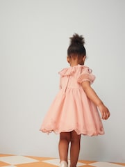 Pink Embroidered Mesh Party Dress (3mths-8yrs) - Image 3 of 4