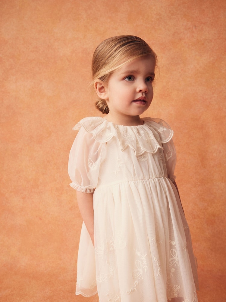 Cream Embroidered Mesh Party Dress (3mths-8yrs) - Image 1 of 7