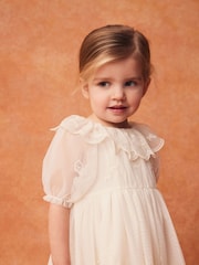 Cream Embroidered Mesh Party Dress (3mths-8yrs) - Image 2 of 7