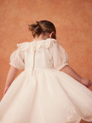 Cream Embroidered Mesh Party Dress (3mths-8yrs) - Image 3 of 7