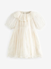 Cream Embroidered Mesh Party Dress (3mths-8yrs) - Image 4 of 7