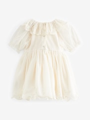 Cream Embroidered Mesh Party Dress (3mths-8yrs) - Image 5 of 7