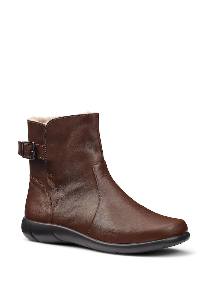 Braun - Hotter Rustle Zip/Buckle Ankle Boots - Bild 2 von 4 Braun - Hotter Rustle Zip/Buckle Ankle Boots - Bild 2 von 4